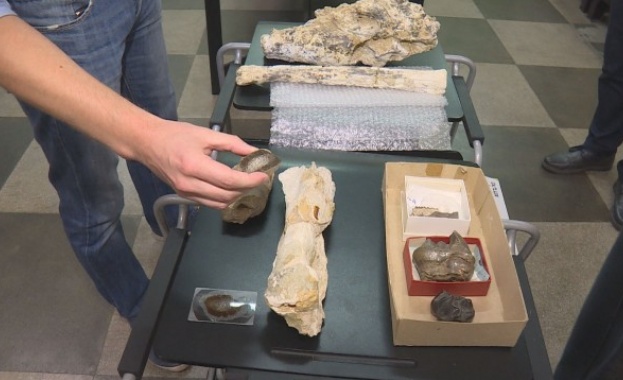 В България са се разхождали динозаври Това твърдят учените от