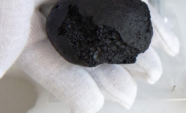 Овъглени остатъци от хляб изпечен преди около 14 500 години