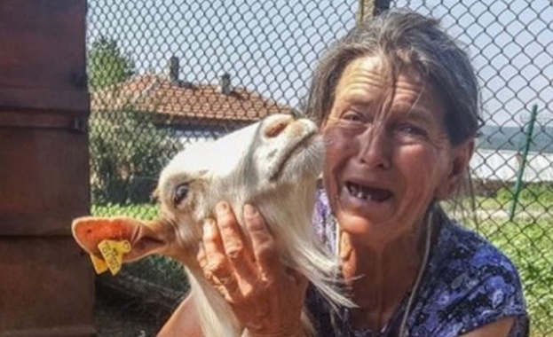 Започна евтаназията на стадото на баба Дора от ямболското село