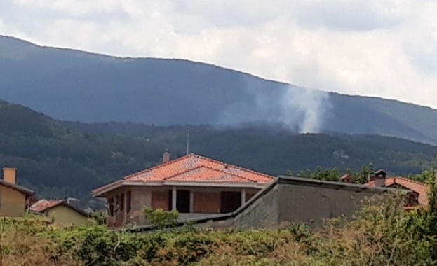 Няколко десетки декара горски площи горят в района над пловдивското