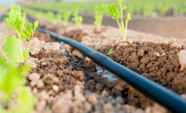 Всеки стопанин желае да има перфектните услови за развитие на