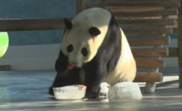 Президентите на Русия и Китай Владимир Путин и Си Цзинпин