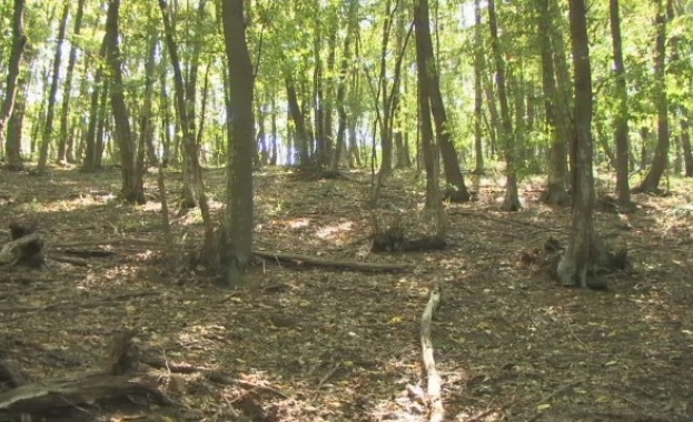 Рано тази сутрин в старозагорския парк Аязмото почина мъж Той