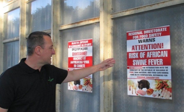 Африканската чума в трите свинекомплекса в Русенско e на път