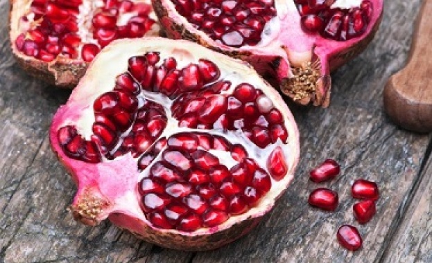 Швейцарски учени се доближиха до откриването на еликсир на живота