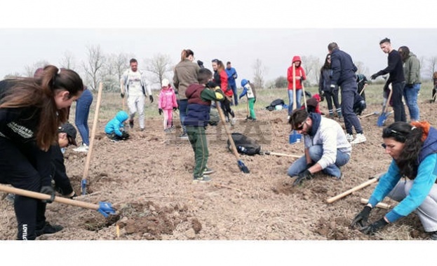 Започна четвъртият залесителен сезон за Новата гора на София край