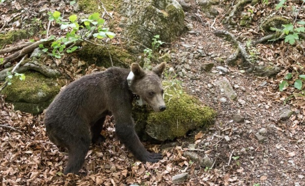 По данни на Министерството на околната среда и водите у