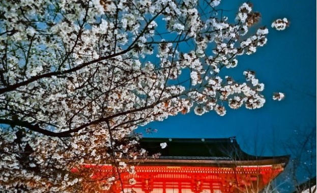 Серията P30 на Huawei която бе представена с P30 и