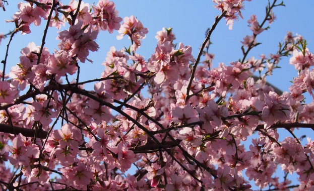 Днес облачността постепенно ще се изтегля на изток В Западна