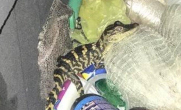 Пътничка в автомобил спрян за рутинна проверка от полицията в