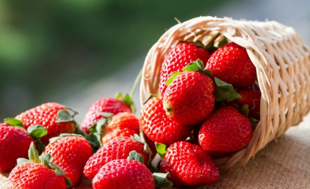 Изследвания показват че вкусът на ягодата в природата е практически