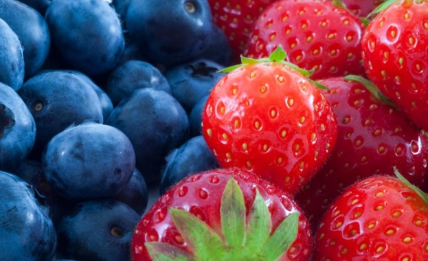 Диетолозите отдавна хвалят ягоди и боровинки за букета от микроелементи,