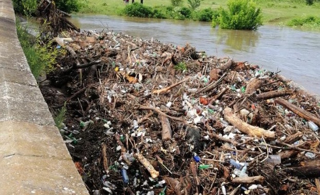 Екипи на АПИ и на община Горна Оряховица разчистват дървета