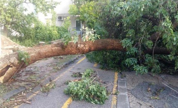 Във Велико Търново започва разчистване на щетите от последния пороен