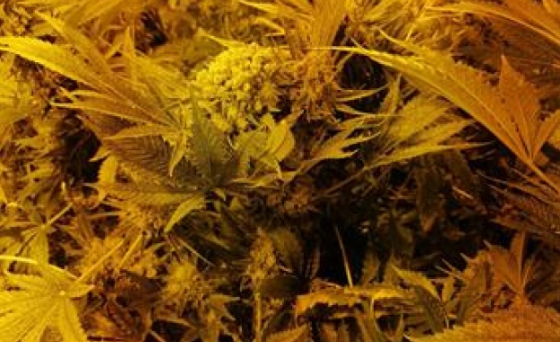 Задържан е 31 годишен мъж работата по образуваното досъдебно производство продължава