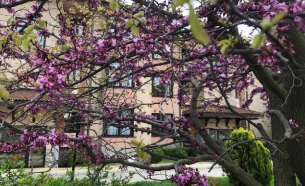 Тази година ваканционен комплекс Калиакрия намалява използването на пластмасови изделия