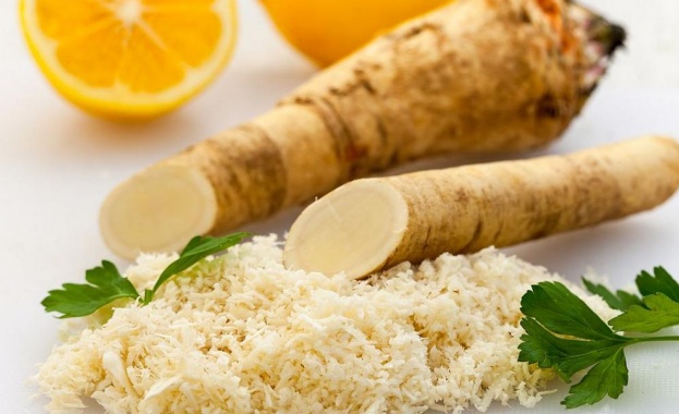 Наричат хряна градински пеницилин защото се използва за лечение на