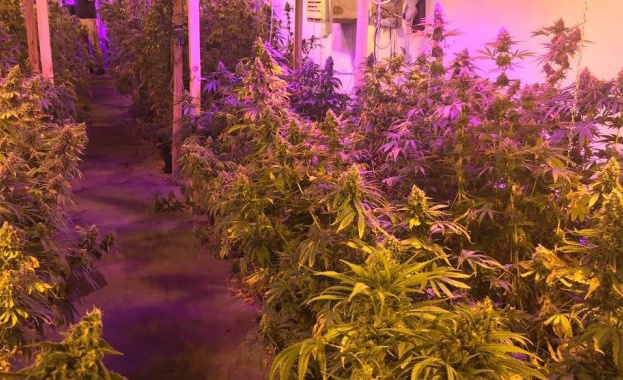 В хода на специализирана полицейска операция насочена срещу престъпления свързани