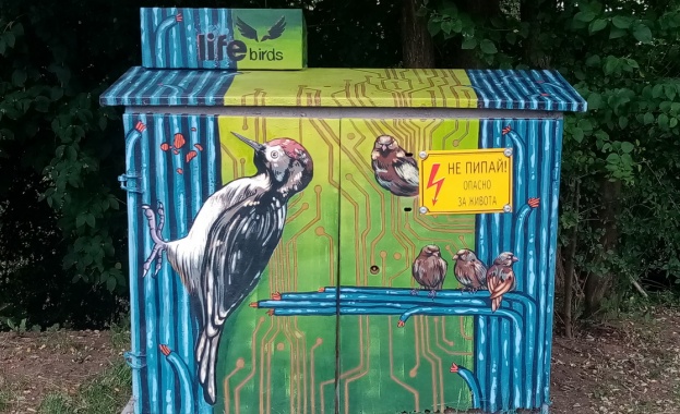 ЧЕЗ Разпределение предприема мерки за защита на живота на птиците