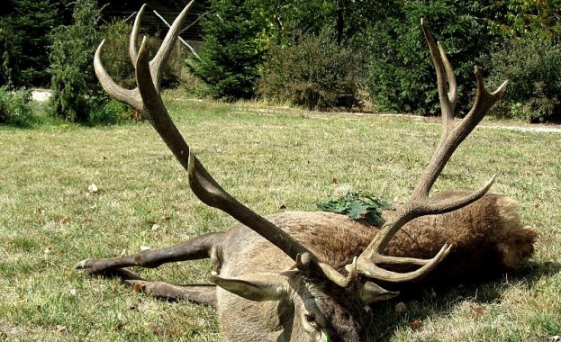 Трима младежи от заветското село Сушево са установени като извършители