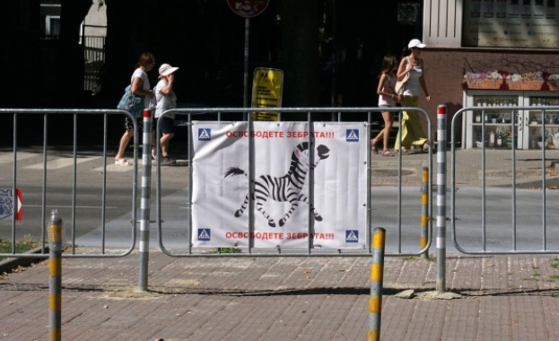 След затваряне на някои от пешеходни пътеки във Варна се