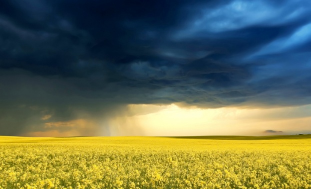 Днес с до умерен вятър от северозапад в източната половина