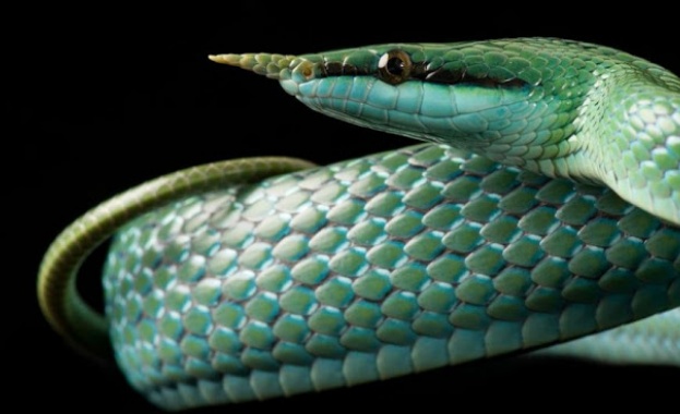 Не е много ясно какви са причините точно 16 юли