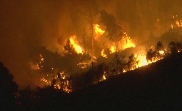 Стотици пожарникари се борят с горските пожари в централната част