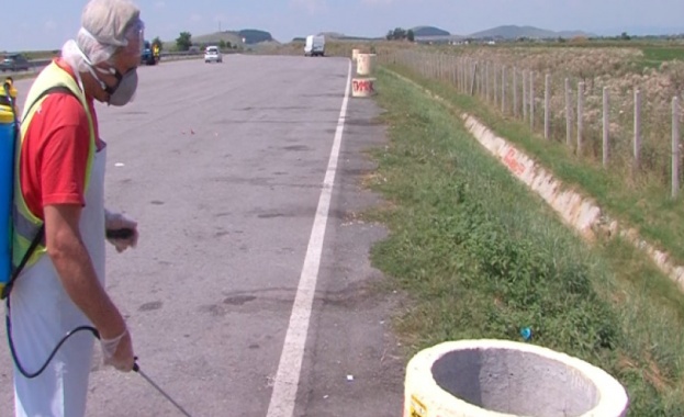 Дезинфектират пътни артерии и ТИР паркинги в област Перник заради усложнената