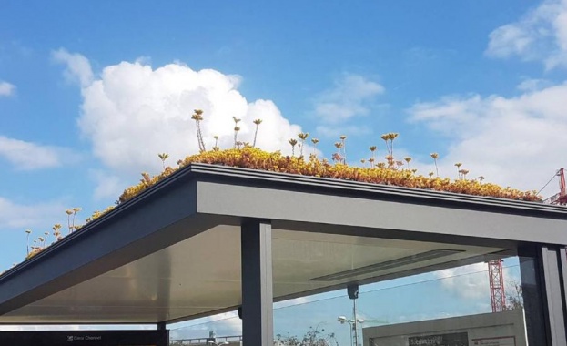 Холандия покрива с растителност навесите на стотици автобусни спирки като