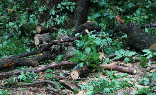 Пребиха служител на Държавното ловно стопанство в Шабла Четирима горски
