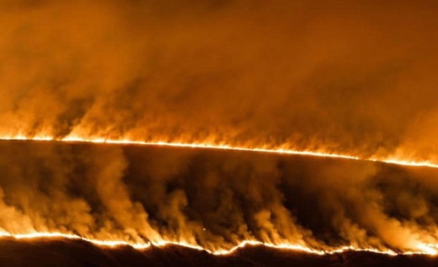 Над половин милион руснаци поискаха от руските власти да направят