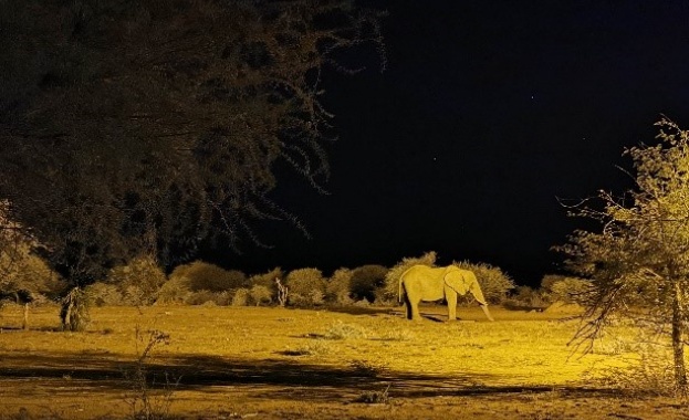 Лятото е възможно най доброто време да обикаляте надлъж и нашир