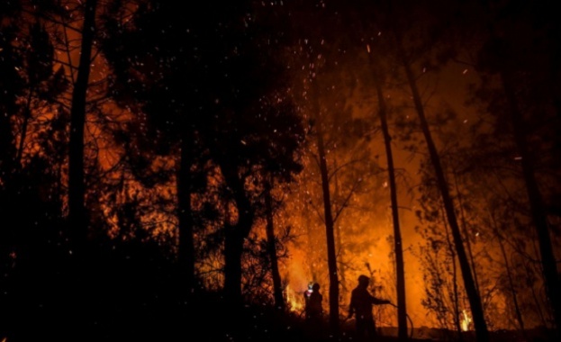 Руският премиер Дмитрий Медведев нареди полицията да разследва дали горските