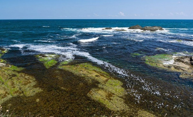 Съвсем неусетно следобедът на лятото месец август започна и