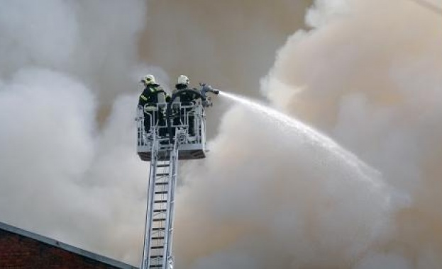 Нaд 30 гoрcки пoжaрa ca зaгaceни в Руcия зa пocлeднoтo