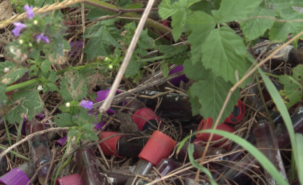 Десетки епруветки с кръв откри шофьор край автомагистрала Хемус в