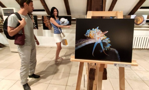 В интересна конкуренция влязоха 394 те творби на 67 фотографи от