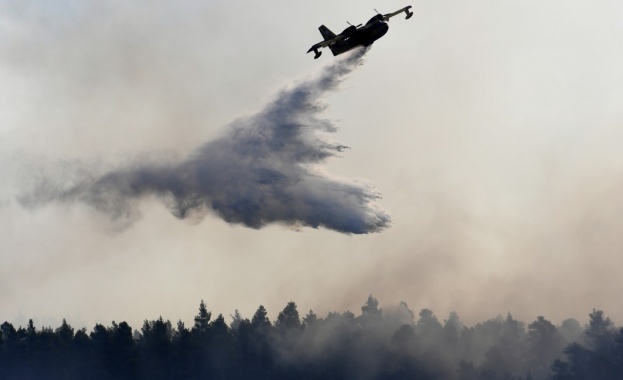 Пожарът на гръцкия остров Евбея причини екологична катастрофа Досега са