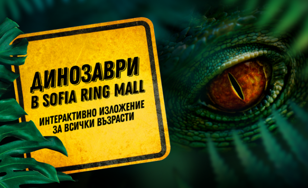 Горещо е Наоколо има кипариси и хвойна чува се рев