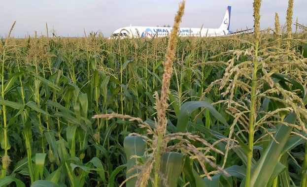 Президентът Владимир Путин награди пилотите от Уралските авиолинии които приземиха