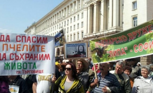 Български пчелари скочиха срещу масовото измиране на пчели и недостатъчната