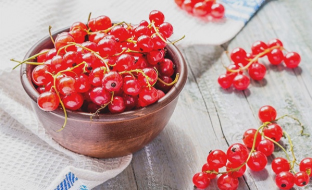 Сред огромното разнообразие от растителни видове на нашата планета се