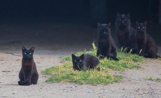 Петък 13 и наричан още Черен петък от незапомнени времена досега