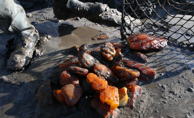 Незаконният добив на кехлибар в Украйна от времето на Евромайданската