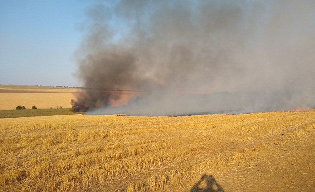 Седемнайсет сигнала за възникнали пожари в обработваеми земеделски площи са
