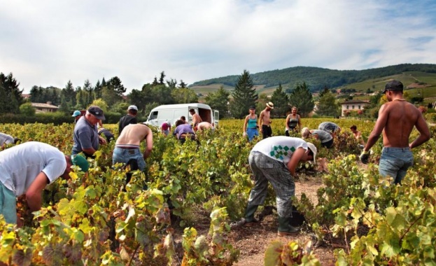 Трима българи и един французин са задържани във френския град