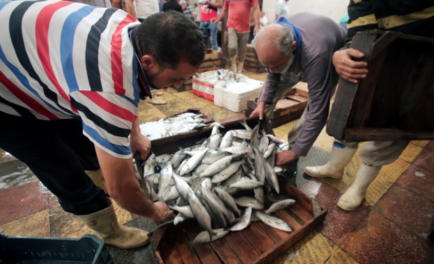 Треската и писията могат да присъстват все още редовно на