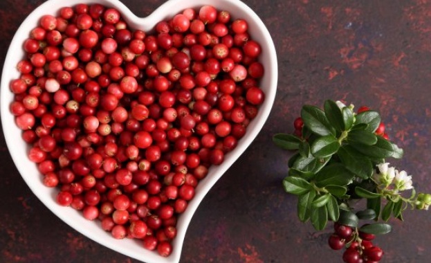 Краят на лятото и началото на есента е времето в