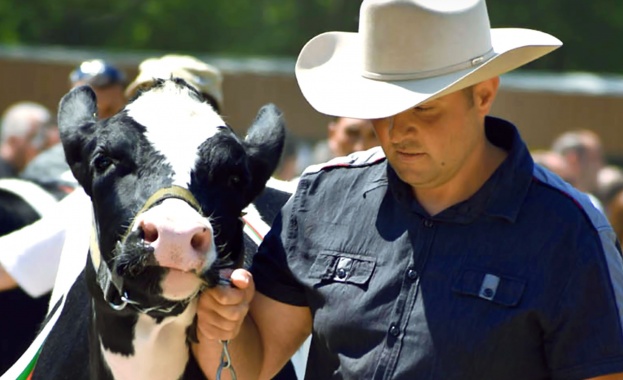 Над 600 елитни български животни ще участват в 15 тото юбилейно